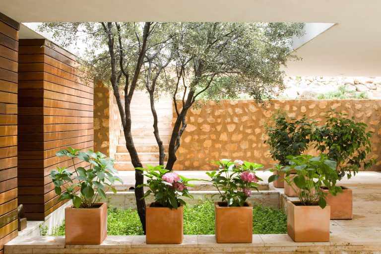 Foto Arquitectura 69